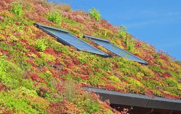 Upper Kenley living roof systems